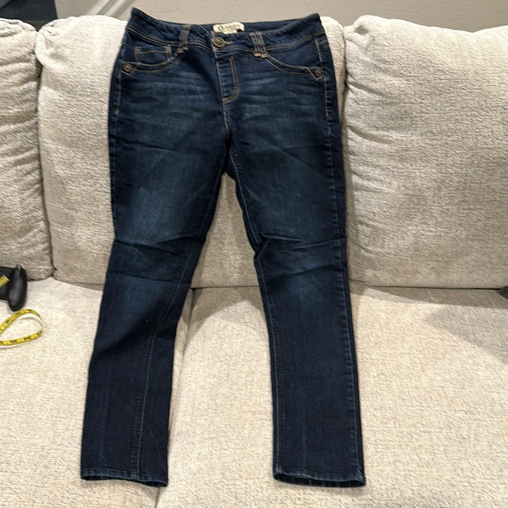 Declaration of Democracy jegging